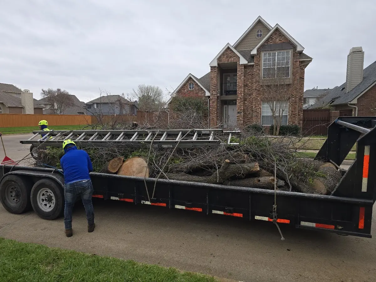 Expert Lot Clearing with proper safety equipment in Gallant
